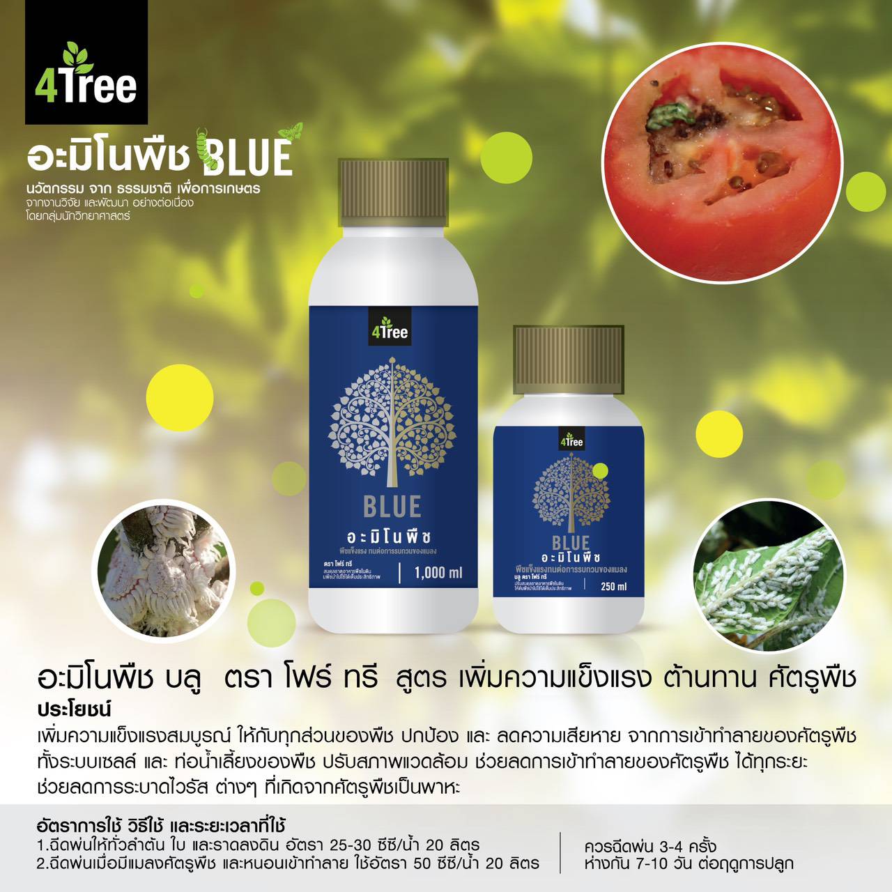 อะมิโนบลู Blue อะมิโนบลู Blue