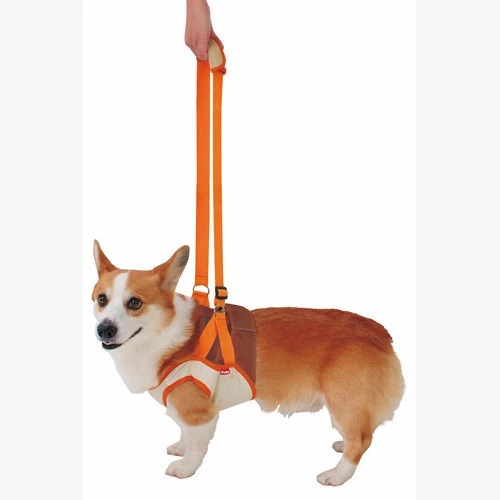 Petio Zuttone(Japan) ที่ช่วยพยุงสุนัขด้านหน้า