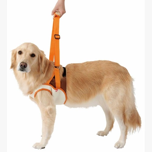 Petio Zuttone(Japan) ที่ช่วยพยุงสุนัขด้านหน้า