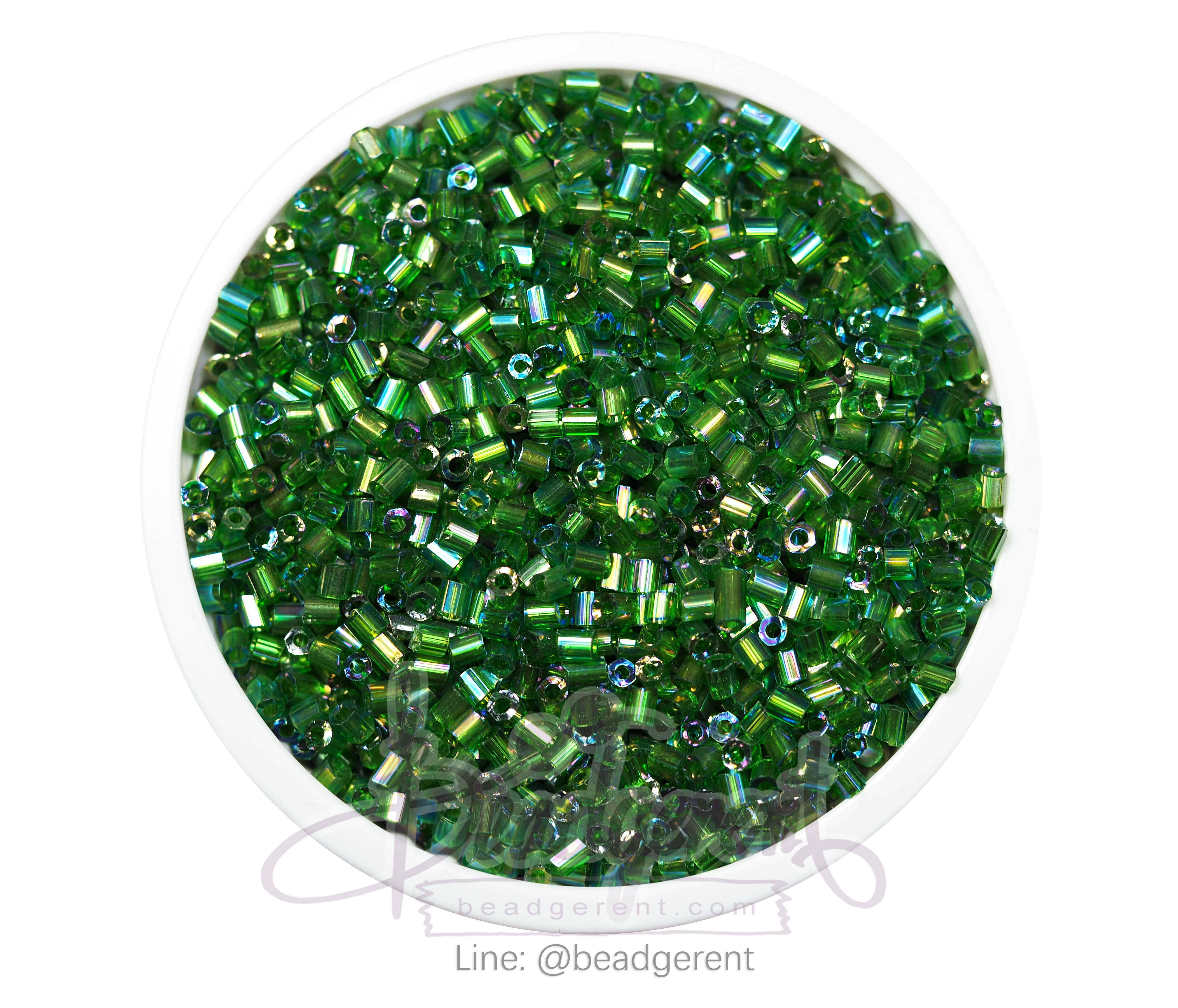 ปล้องสั้น โทนรุ้ง สีเขียวเข้ม (450 กรัม) SKU-03439