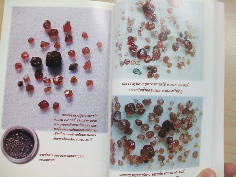 "อนาลโยวาท" หลวงปู่ขาว อนาลโย วัดถ้ำกลองเพล จ.หนองบัวลำภู