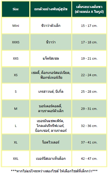 สายรัดเข่าสุนัข (Knee Brace)