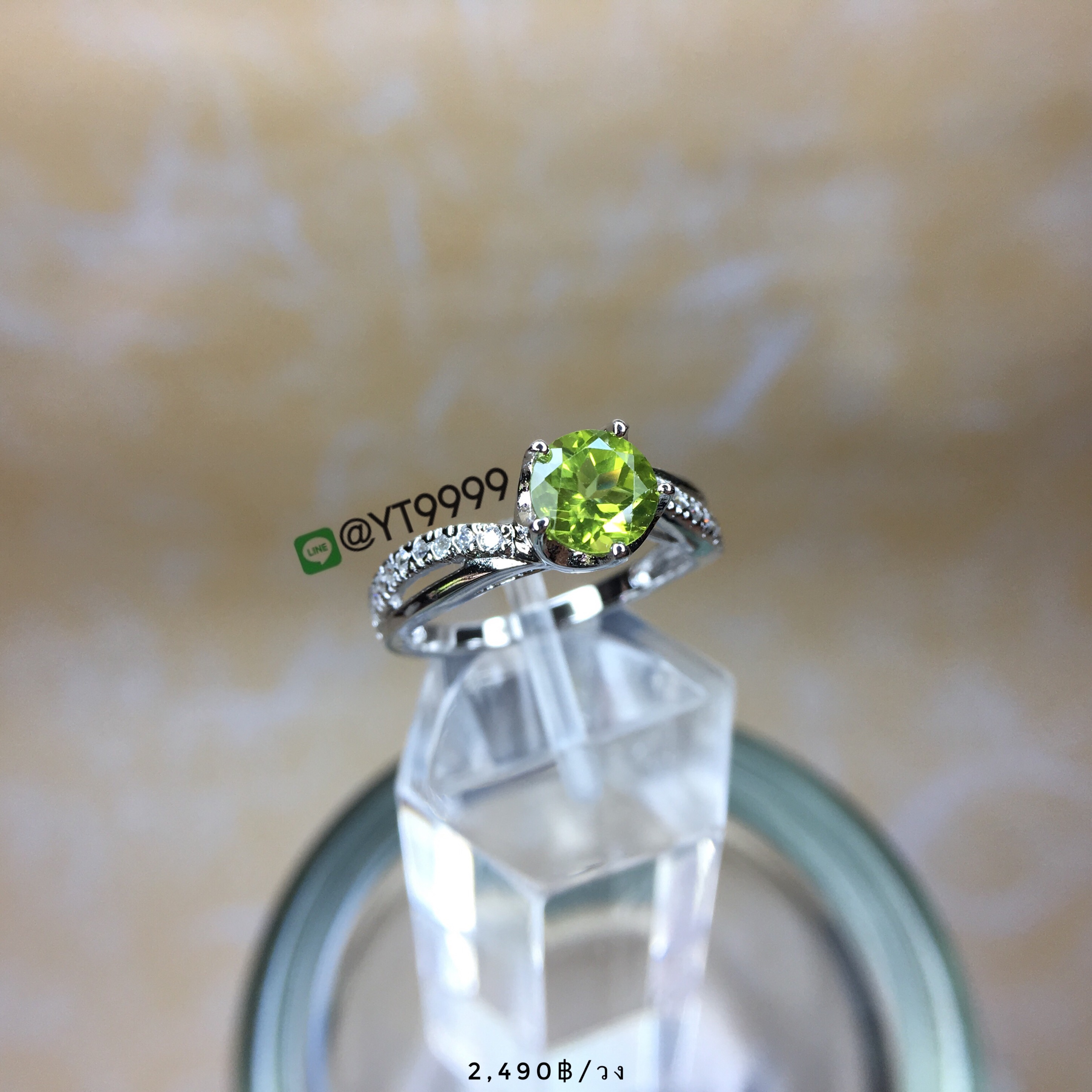 แหวนเพอริดอท แหวนเงินแท้92.5% ชุบทองคำขาว พลอยเพอริดอทแท้ YTG-2781 YTGEMS