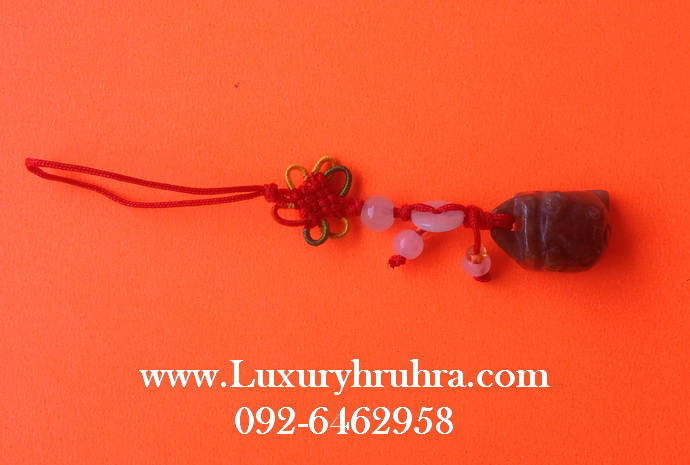 คางคกคาบเหรียญเสริมดวงสำหรับผู้ที่เกิดปีจอ(หมา)ปีชงประจำปี2561
