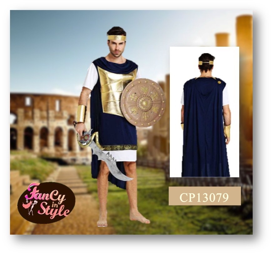 Back in time costume/Brave Knight Costume/ชุดคอสเพลย์อัศวิน/ชุดนักรบ