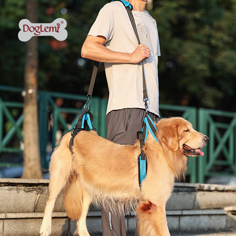 Doglemi(China) ที่ช่วยพยุงสุนัขแบบเต็มตัว