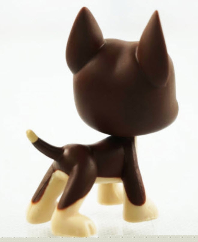 สุนัขเกรดเดน สีน้ำตาล ตาสีฟ้า #1519