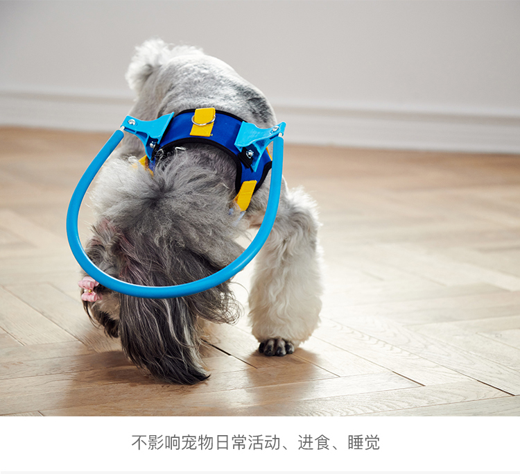 ห่วงกันชนสำหรับสุนัขตาบอด สีฟ้า [รุ่นใหม่] (Blind Dog Halo)