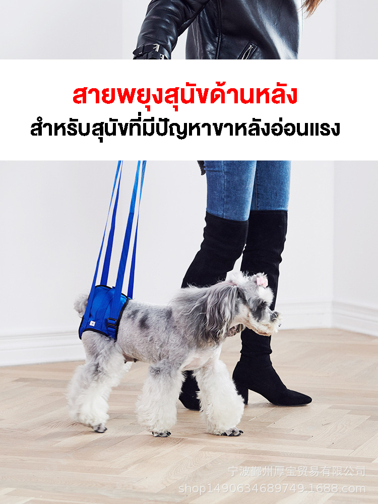 ที่ช่วยพยุงสุนัขด้านหลัง(China)
