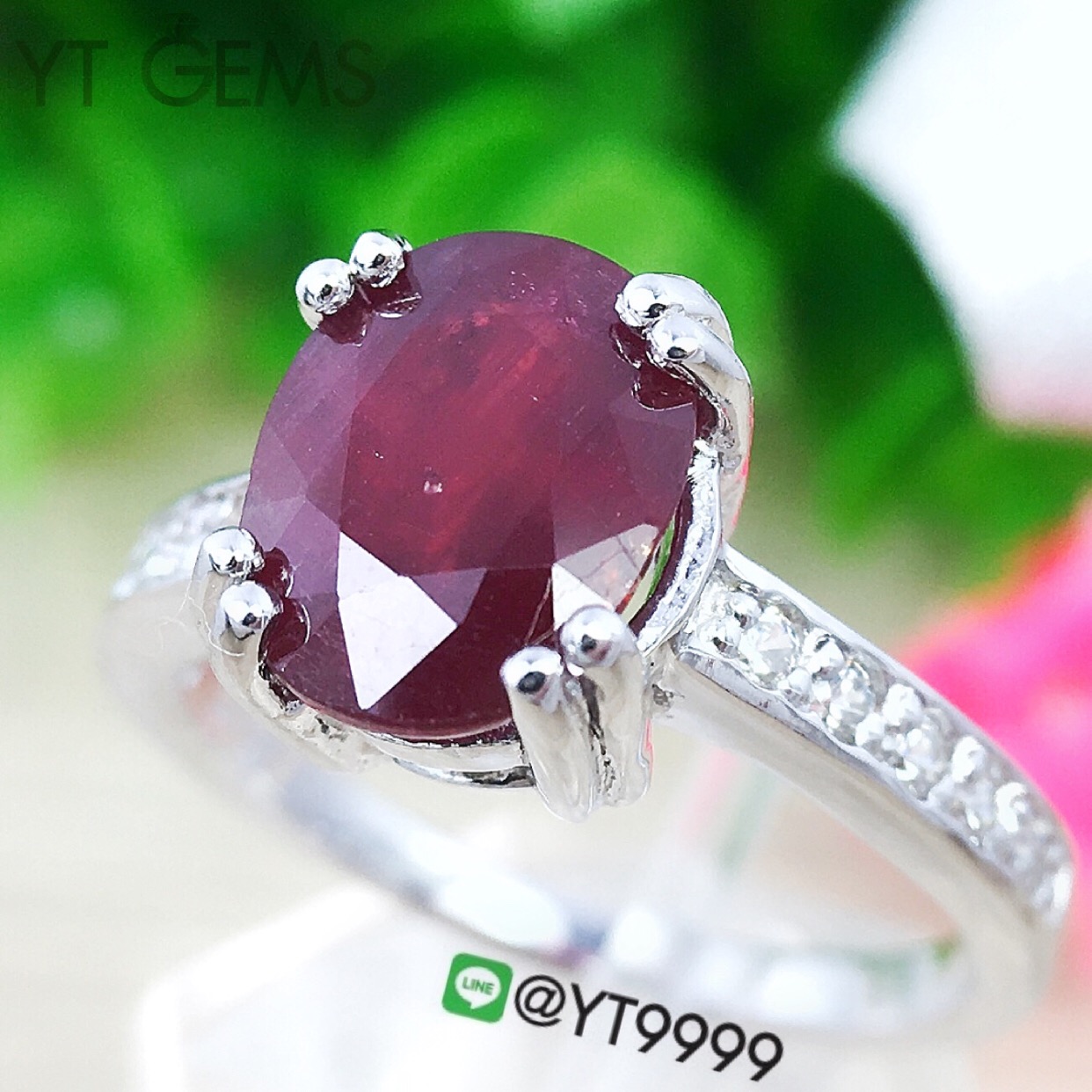 แหวนทับทิม แหวนเงินแท้ ชุบทองคำขาว พลอยทับทิมแท้ YTG1376 YTGEMS
