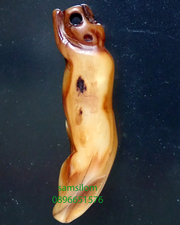 เขี้ยวเสือ จาร เก่า ยาว2นิ้ว แท้ดูง่าย ไม่รู้ที่