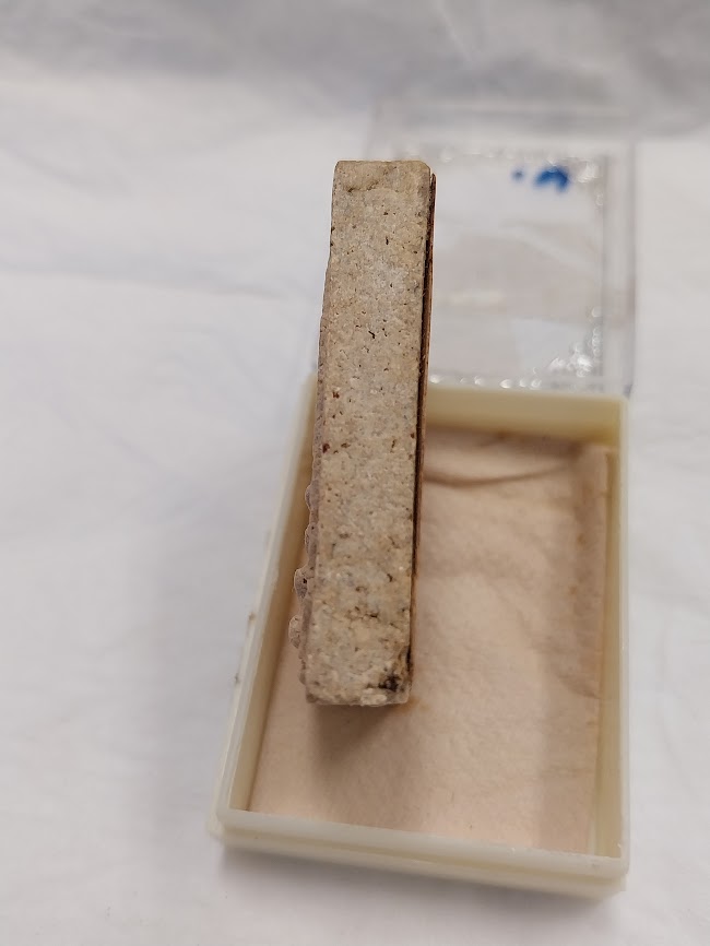 พระสมเด็จปรกโพธิ์ หลวงปู่โต๊ะ วัดสระเกษ อ.ไชโย จ.อ่างทอง