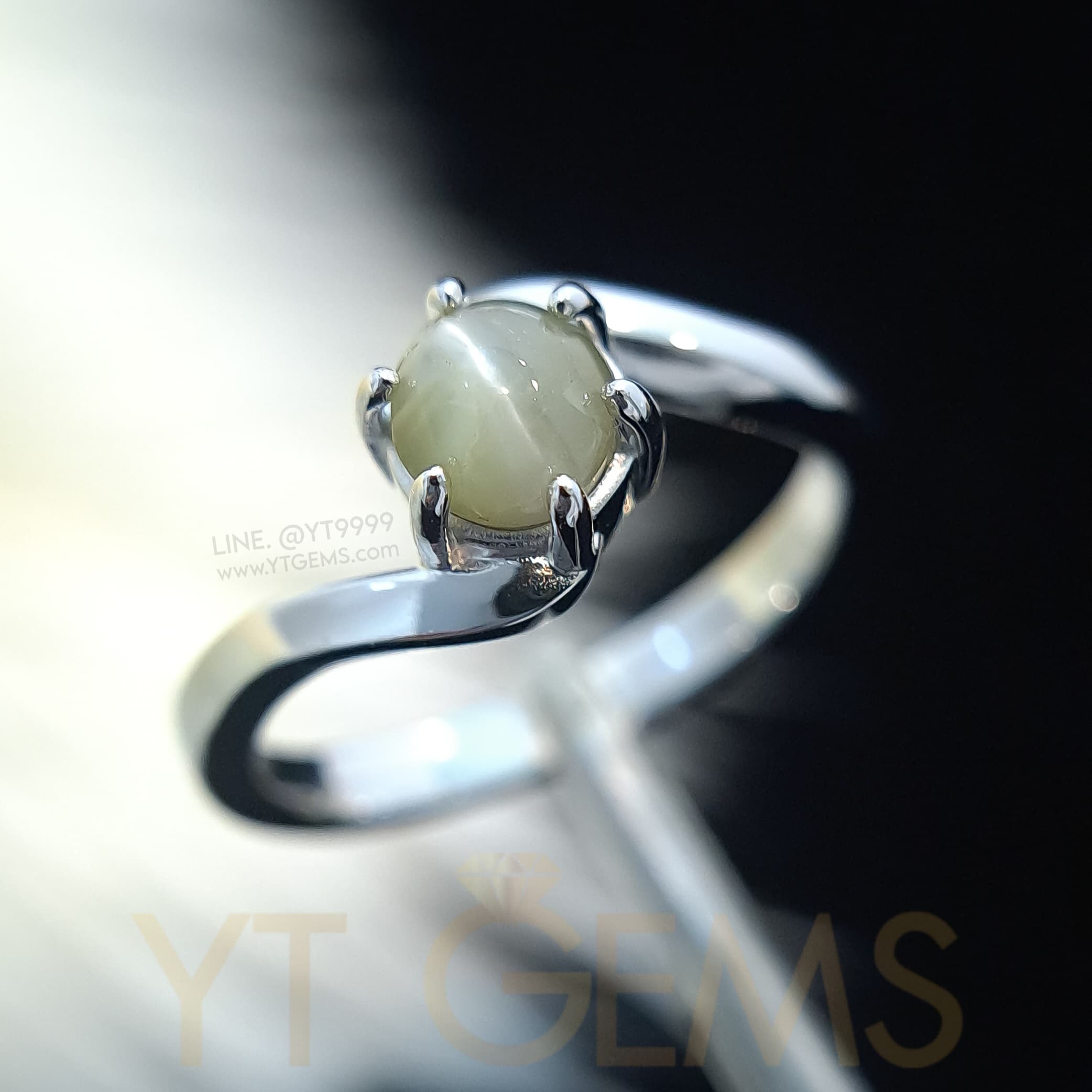 แหวนไพฑูรย์ (พลอยแท้หายาก) เงินแท้ ชุบทองคำขาว (Chrysoberyl Cat's Eye) YTG-9635 YTGEMS whole