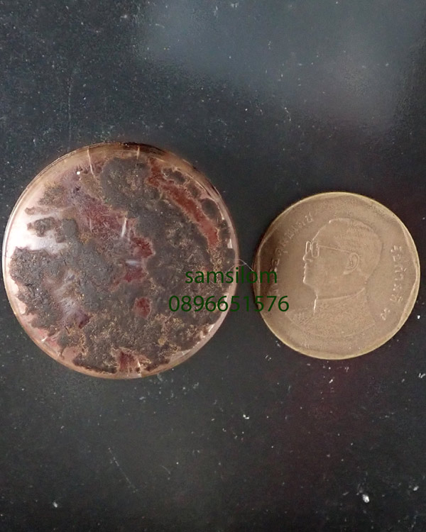 หลวงพ่อคง วัดวังสรรพรส ตลับสีผึ้ง หายาก