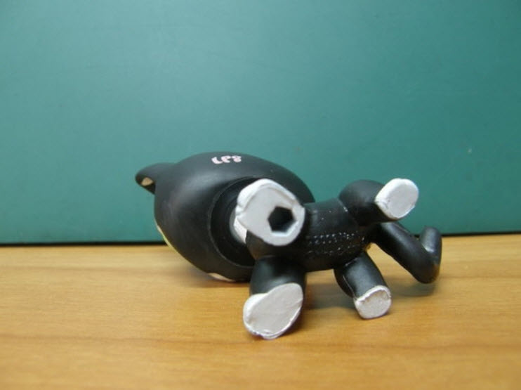 แมวเปอเซีย สีดำขอบตาขาว #2249 (หายาก)