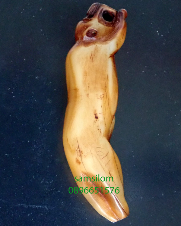 เขี้ยวเสือ จาร เก่า ยาว2นิ้ว แท้ดูง่าย ไม่รู้ที่