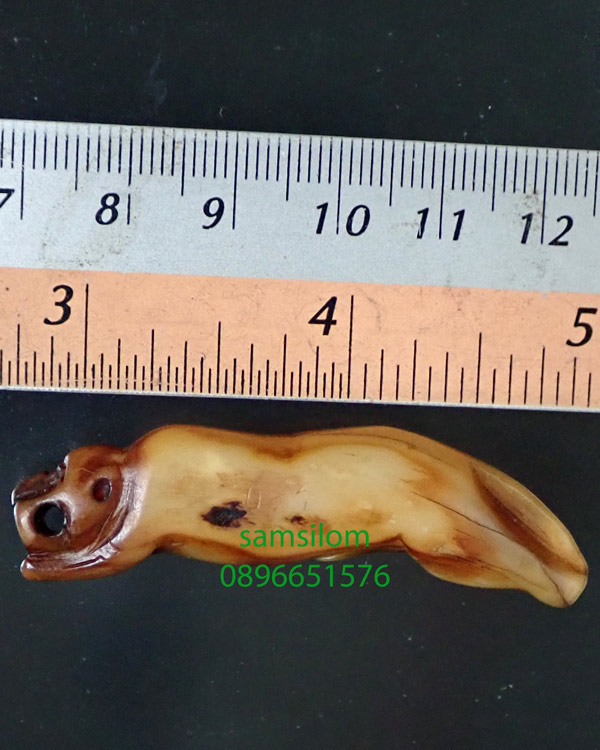 เขี้ยวเสือ จาร เก่า ยาว2นิ้ว แท้ดูง่าย ไม่รู้ที่