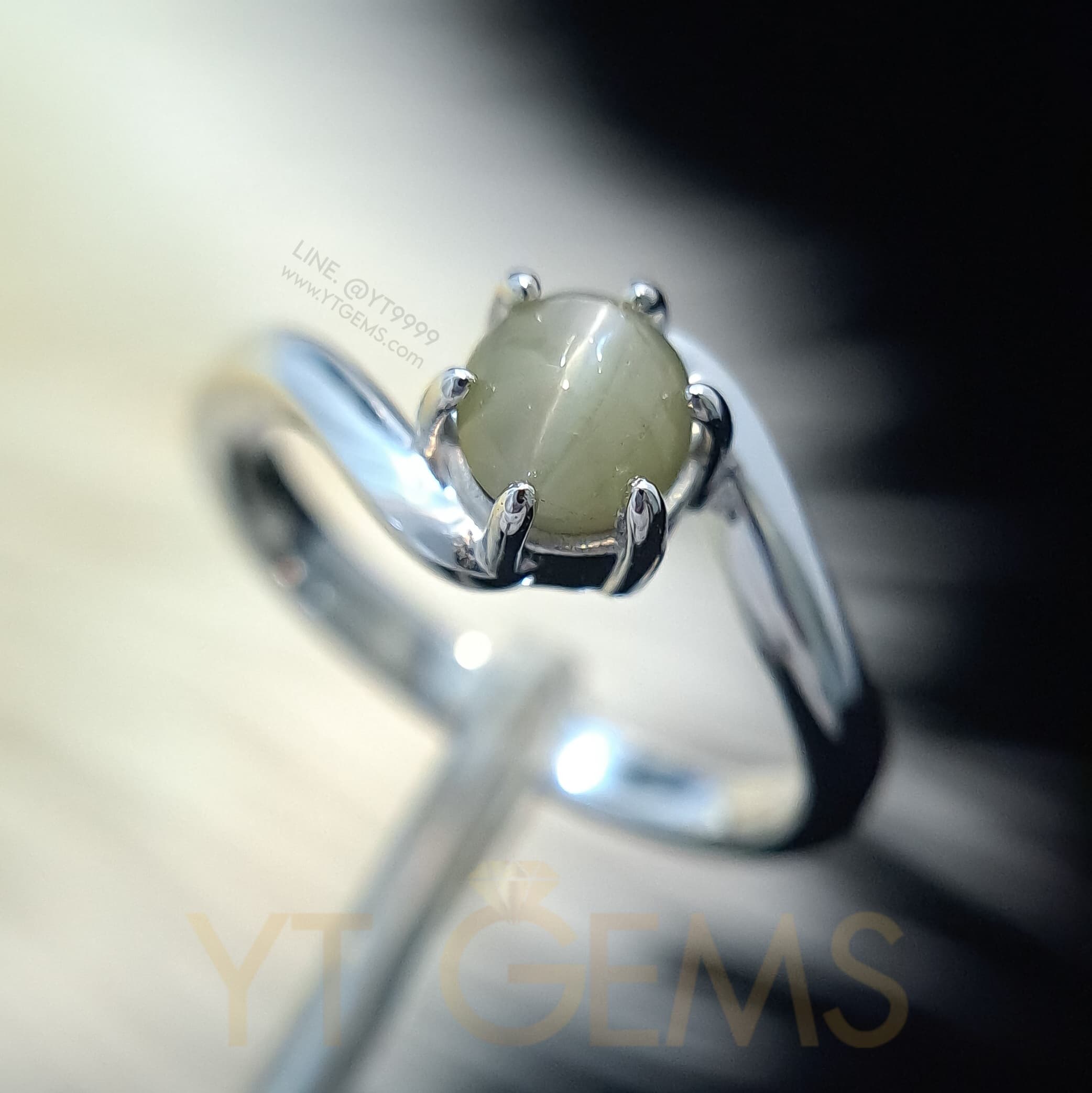 [สำหรับ ราคาส่ง ขั้นต่ำ 5 ชิ้น] แหวนไพฑูรย์ (พลอยแท้หายาก) เงินแท้ ชุบทองคำขาว (Chrysoberyl Cat's Eye) YTG-9635-WH YTGEMS 5 ชิ้น
