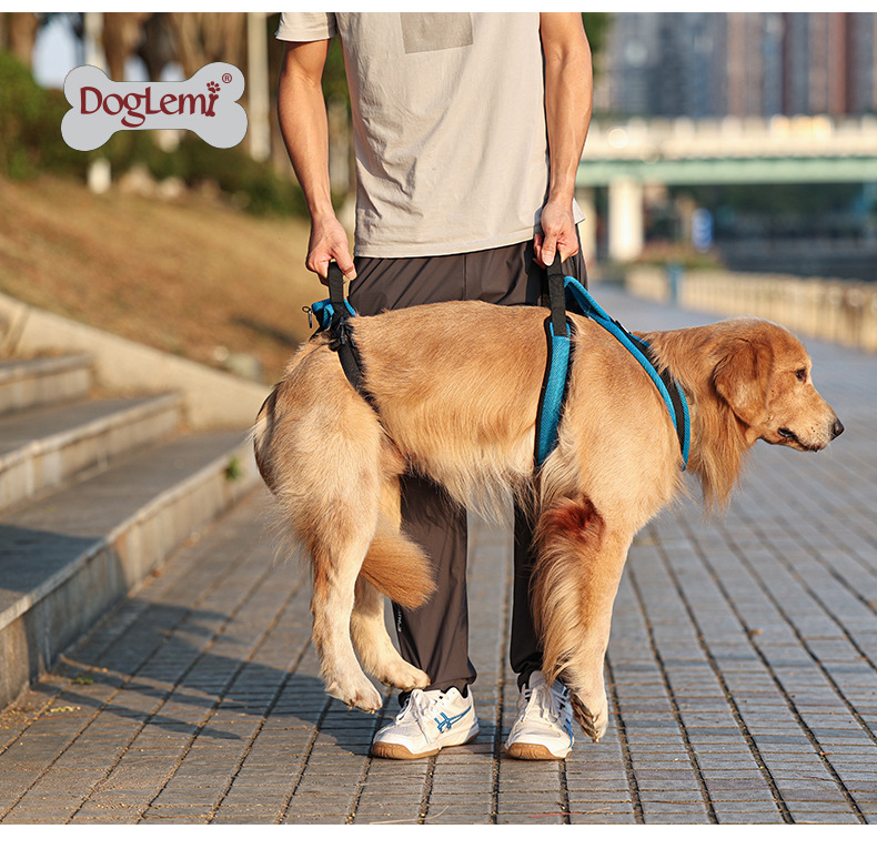 Doglemi(China) ที่ช่วยพยุงสุนัขแบบเต็มตัว