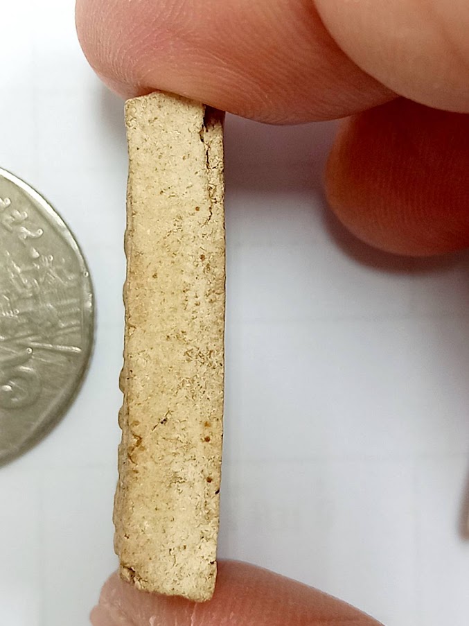 พระสมเด็จปรกโพธิ์ วัดสามกอ จ.อยุธยา