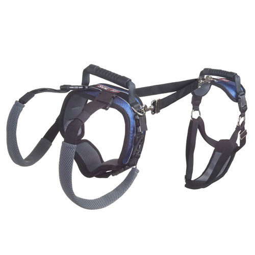 [ยี่ห้อของจีน] ที่ช่วยพยุง/ยกสุนัข Size L [แบบเต็มตัว]