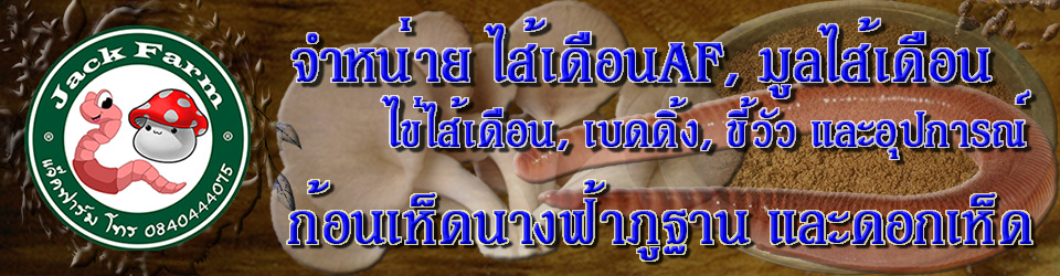 แจ๊คฟาร์ม (Jack Farm)