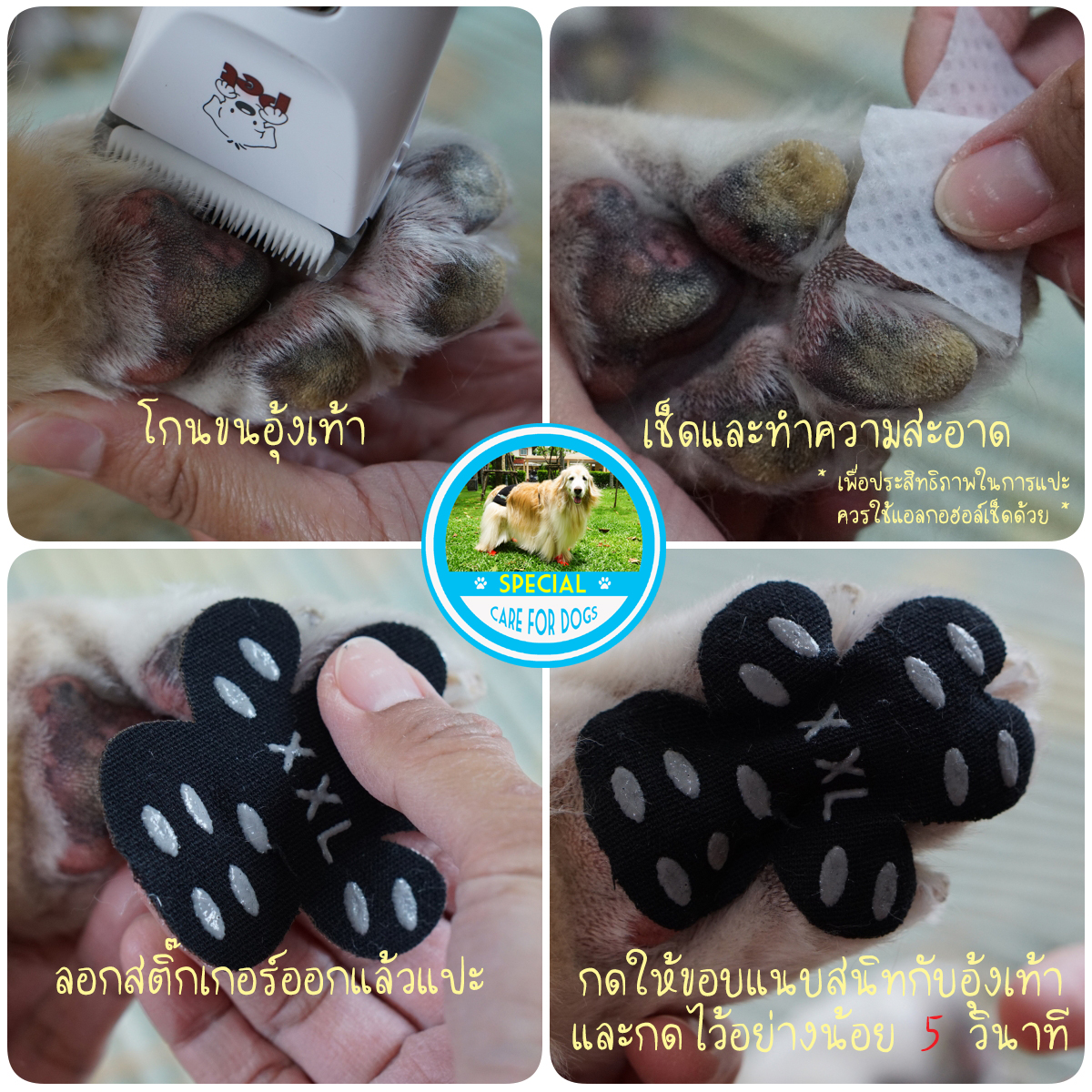 สติ๊กเกอร์แปะอุ้งเท้ากันลื่น