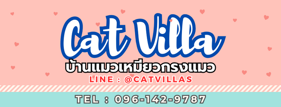 บ้านแมวเหมียว กรงแมว by Cat Villa