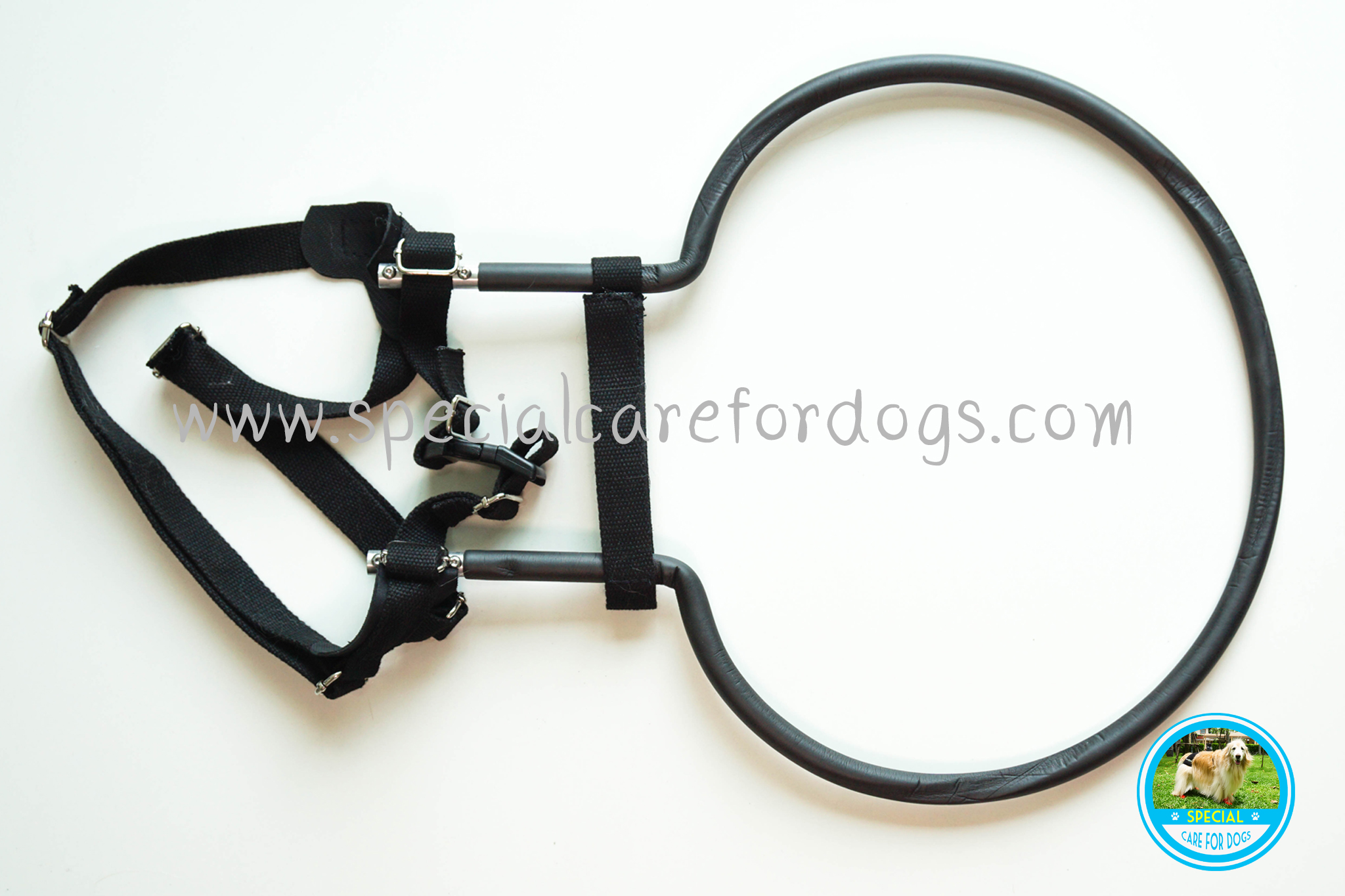 [มีเฉพาะไซส์เล็ก] ห่วงกันชนสำหรับสุนัขตาบอด รุ่นสีดำ (Blind Dog Halo)