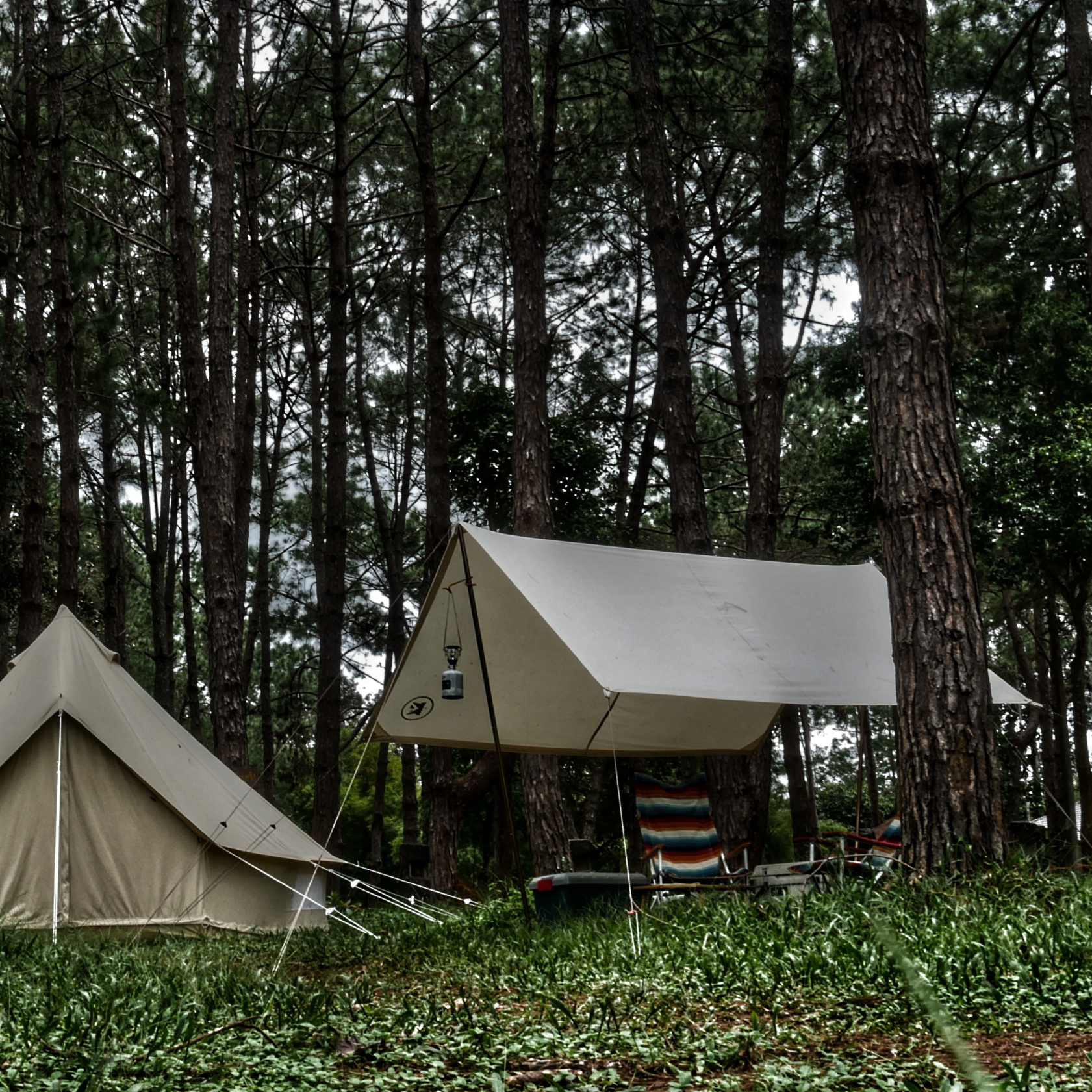 Castle Camp Tarp cotton canvas 3x3m.