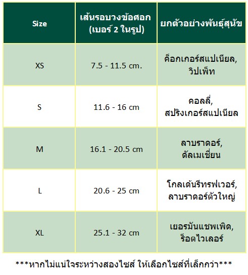 สายรัดข้อศอกสุนัข (Elbow Pads)