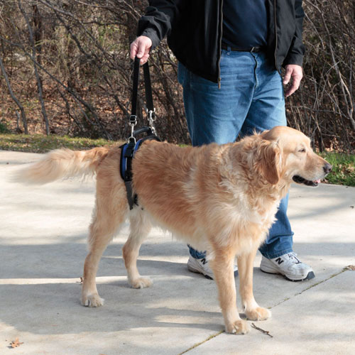 Solvit(USA) ที่ช่วยพยุง/ยกสุนัข Size L [แบบครึ่งตัวหลัง]