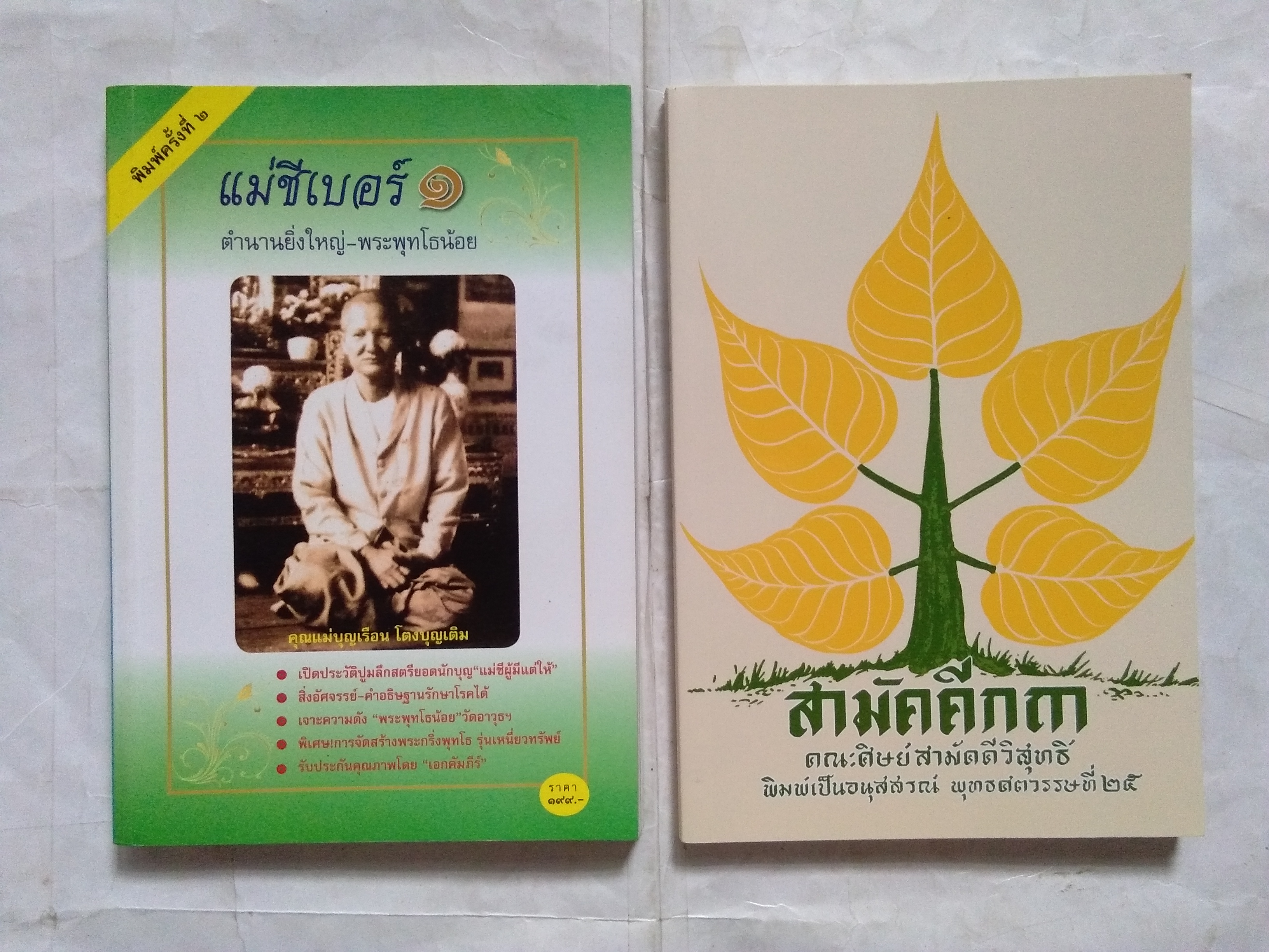 "แม่ชีเบอร์ 1 + สามัคคีกถา" หนังสือคำสอน คุณแม่บุญเรือน โตงบุญเติม (จำนวนรวม 2 เล่ม)