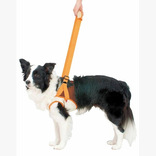 Petio Zuttone(Japan) ที่ช่วยพยุงสุนัขด้านหน้า