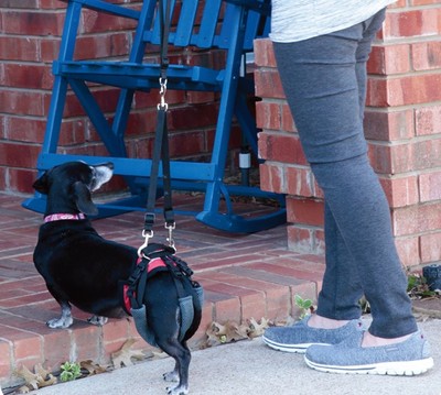 Solvit(USA) ที่ช่วยพยุง/ยกสุนัข Size S [แบบเต็มตัว]