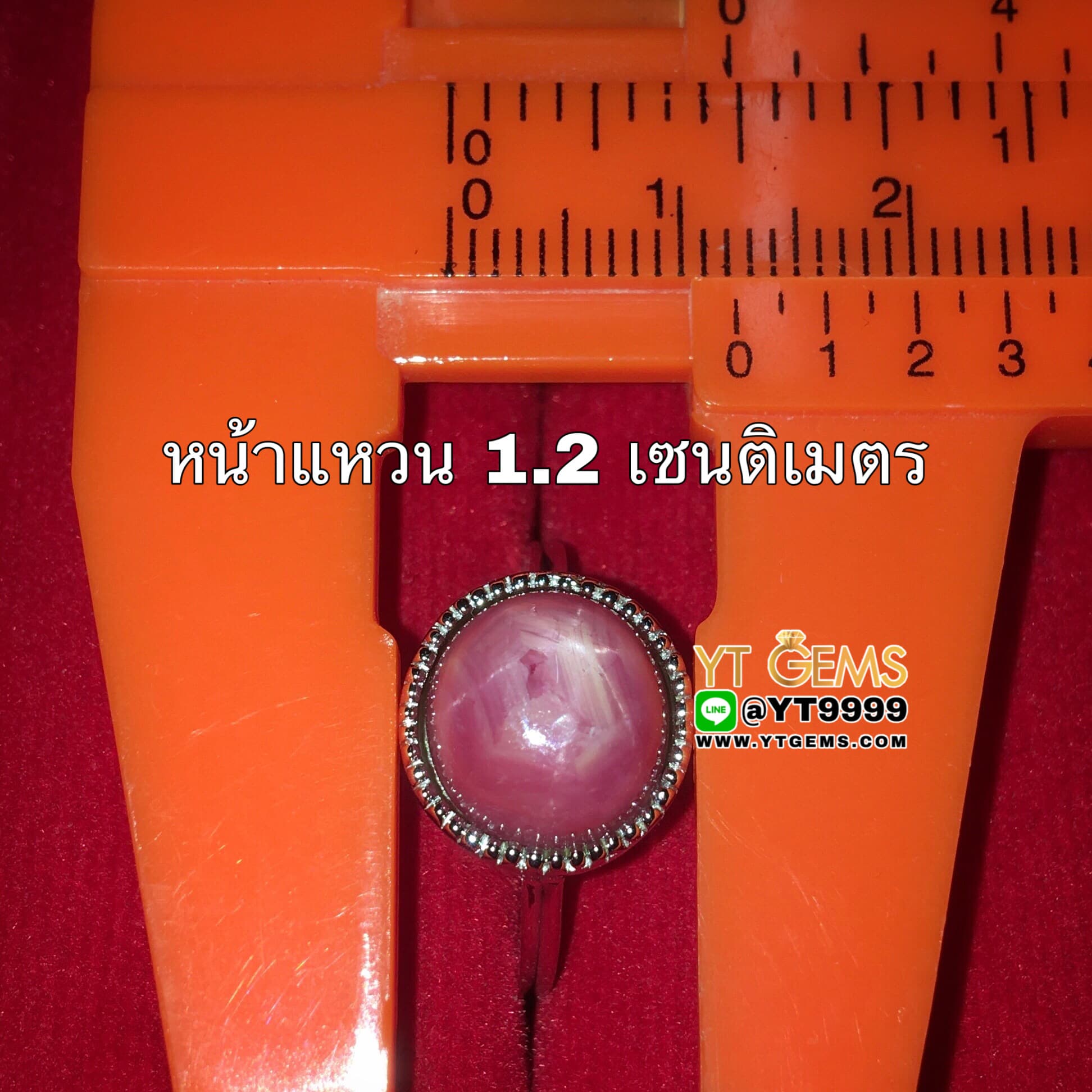 แหวนทับทิมกินบ่เซี่ยง ทับทิมสตาร์ แหวนเงินแท้ 92.5% ชุบทองคำขาว ประดับ พลอยทับทิมกินบ่เซี่ยงแท้ (มีสตาร์ชัด) หน้าแหวน 1.2 ซม. YTG-7195 YTGEMS