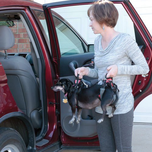 Solvit(USA) ที่ช่วยพยุง/ยกสุนัข Size S [แบบเต็มตัว]