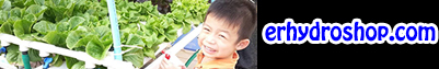 จำหน่ายอุปกรณ์ปลูกผักไฮโดรโปนิกส์