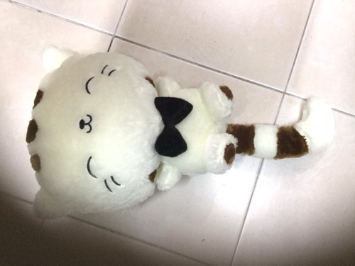 แมวนำโชค (Fotune Cat) ขนาด 12 นิ้ว