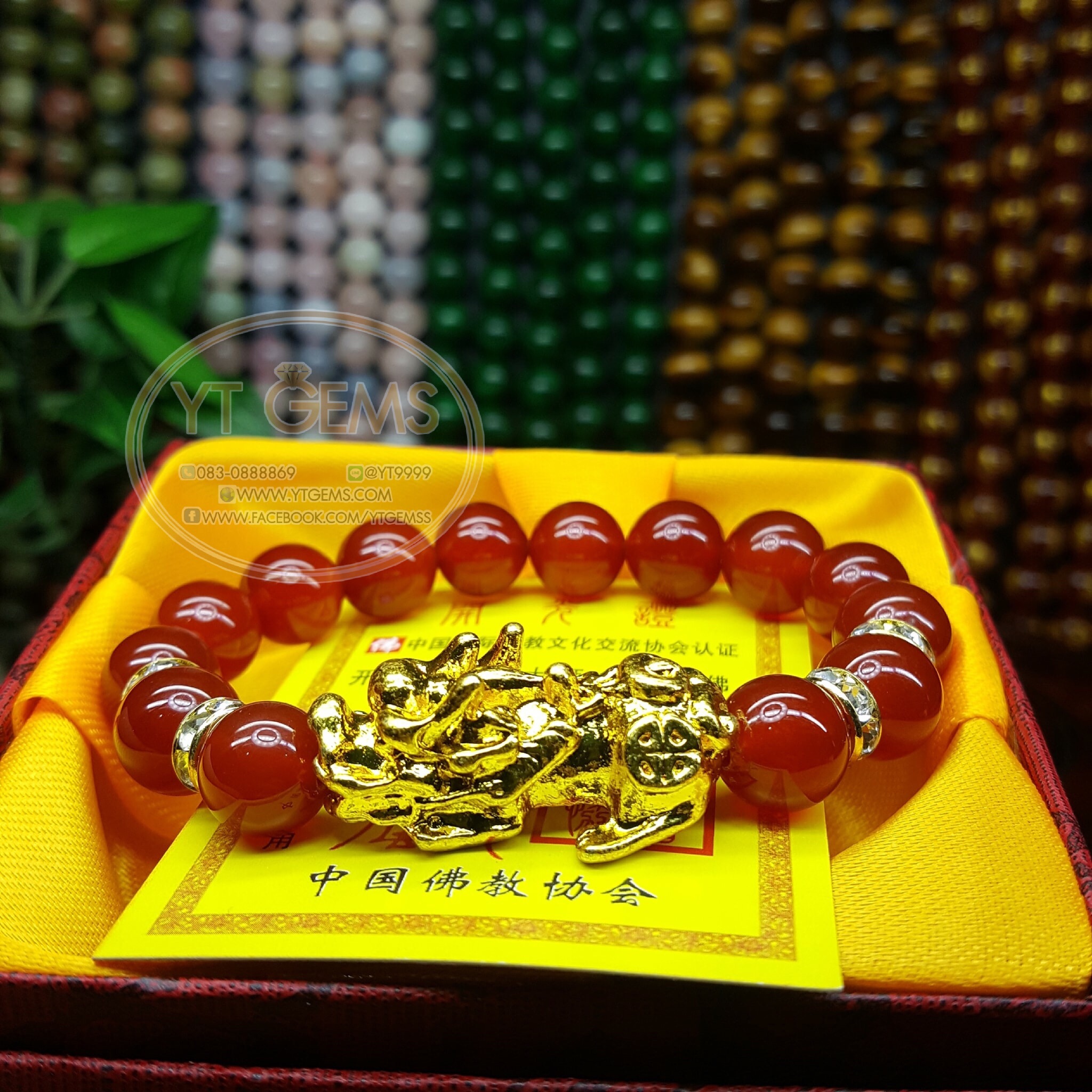 สร้อยข้อมือปี่เซียะ 5 ธาตุ คาร์เนเลี่ยน YTG-4638 YTGEMS