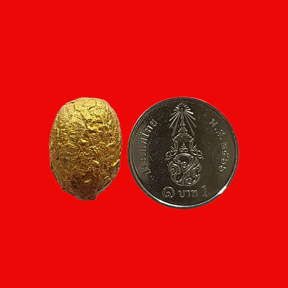 หมากทุยหลวงพ่อชุบพระครูสมุทรวิสุทธิวงศ์รุ่นทูลเกล้าถวายพระเทพฯวัดศรัทธาธรรมจ.สมุทรสงครามปีพ.ศ.2535