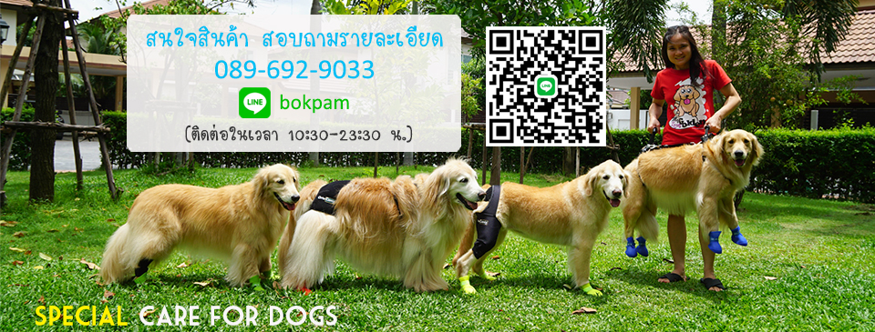 Special Care for Dogs