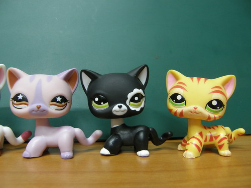 LPS คนรักแมว-2 (ชุด 5 ตัว ยอดนิยม)