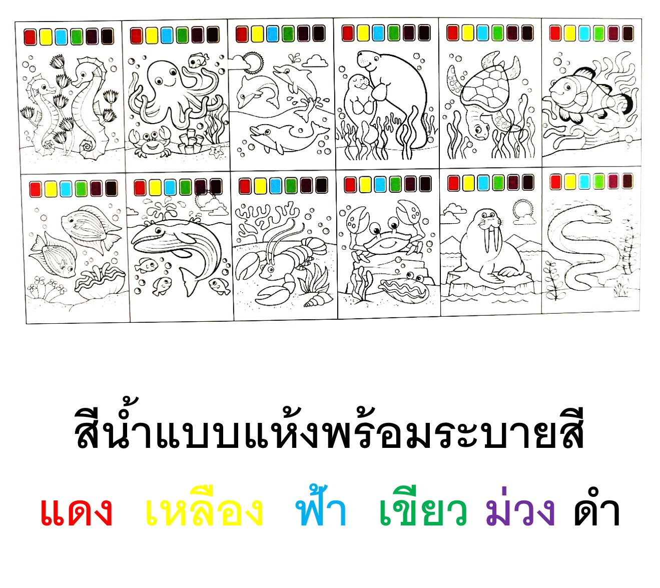 ภาพวาดและสีน้ำพร้อมระบายพร้อมส่ง ขนาดกระดาษA4
