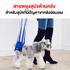 ที่ช่วยพยุงสุนัขด้านหลัง(China)