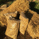 ฟางข้าว