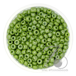 ลูกปัดเม็ดทราย 6/0 โทนมุกด้าน สีเขียว (450 กรัม) SKU-08792