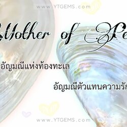 Mother of Pearl มารดา อัญมณีแห่งท้องทะเล เปลือกมุก เปลือกหอยมุก