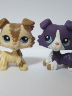 แพ็คคู่สุนัขคอลลี สีม่วง (#1676) - สีมอคค่า (#2210)