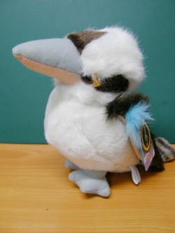 นกคุกคาเบอร่า หัวเราะได้ ขนาด 12 นิ้ว (Australia)